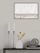 Beach_Vass_002 Poster och Canvastavla