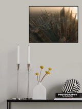 Free fall Poster och Canvastavla