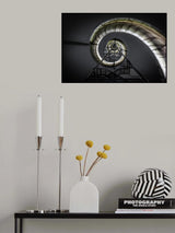 The Snail Poster och Canvastavla