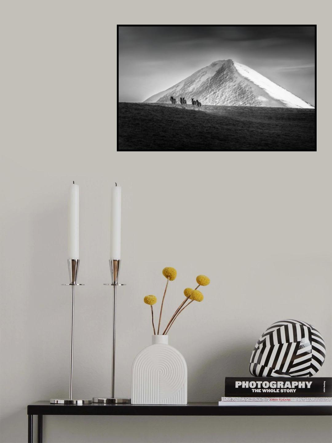 Tibetan Wild Donkeys in Himalaya Mountains Poster och Canvastavla