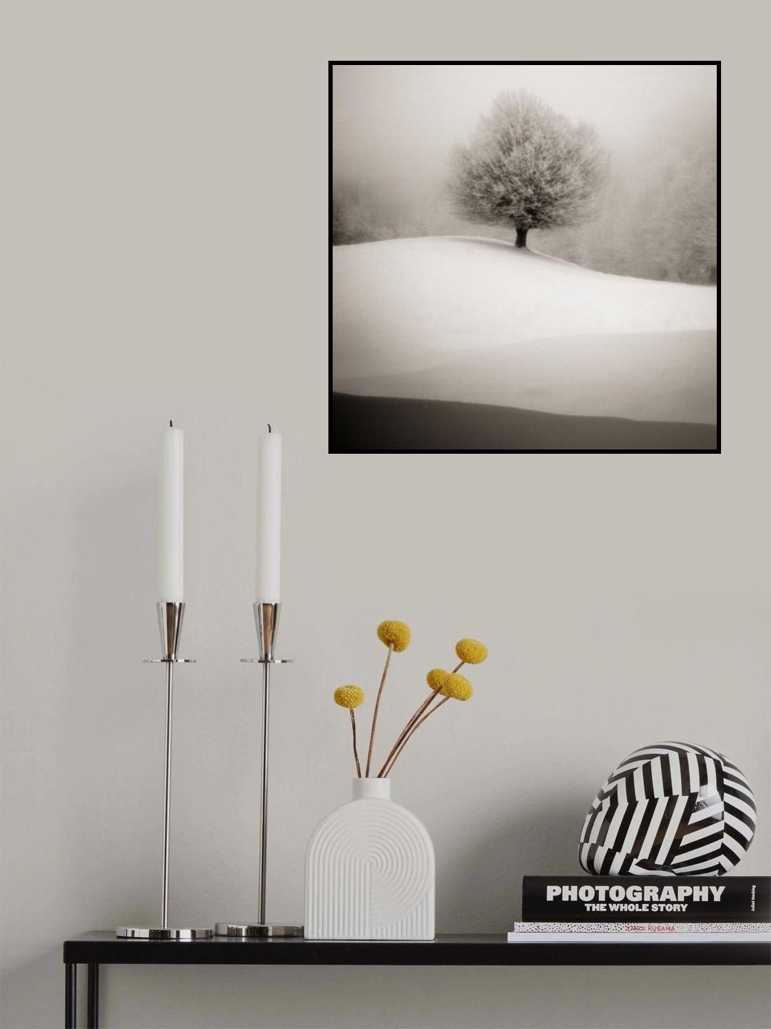winter degradee Poster och Canvastavla