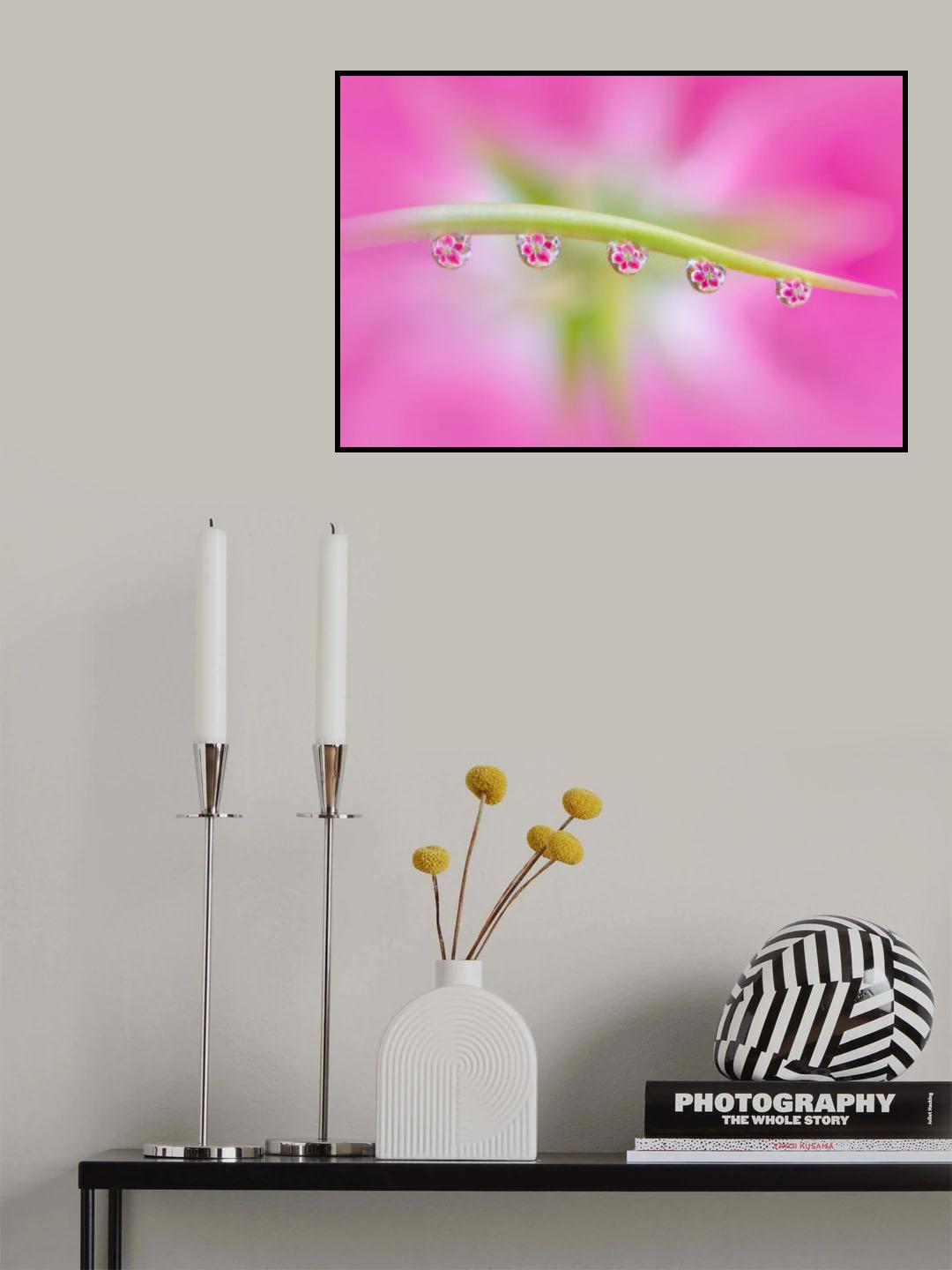 Flowers in Water Drops Poster och Canvastavla