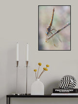 Dive into the unknown... Poster och Canvastavla