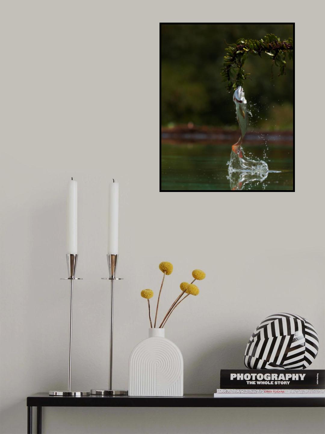 Nice Catch Poster och Canvastavla