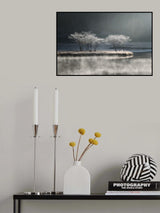 Poster och Canvastavla
