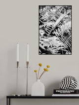Forest Fern Poster och Canvastavla