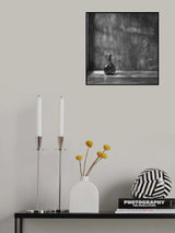 14 Poster och Canvastavla