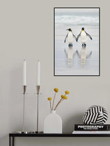 Friends Poster och Canvastavla