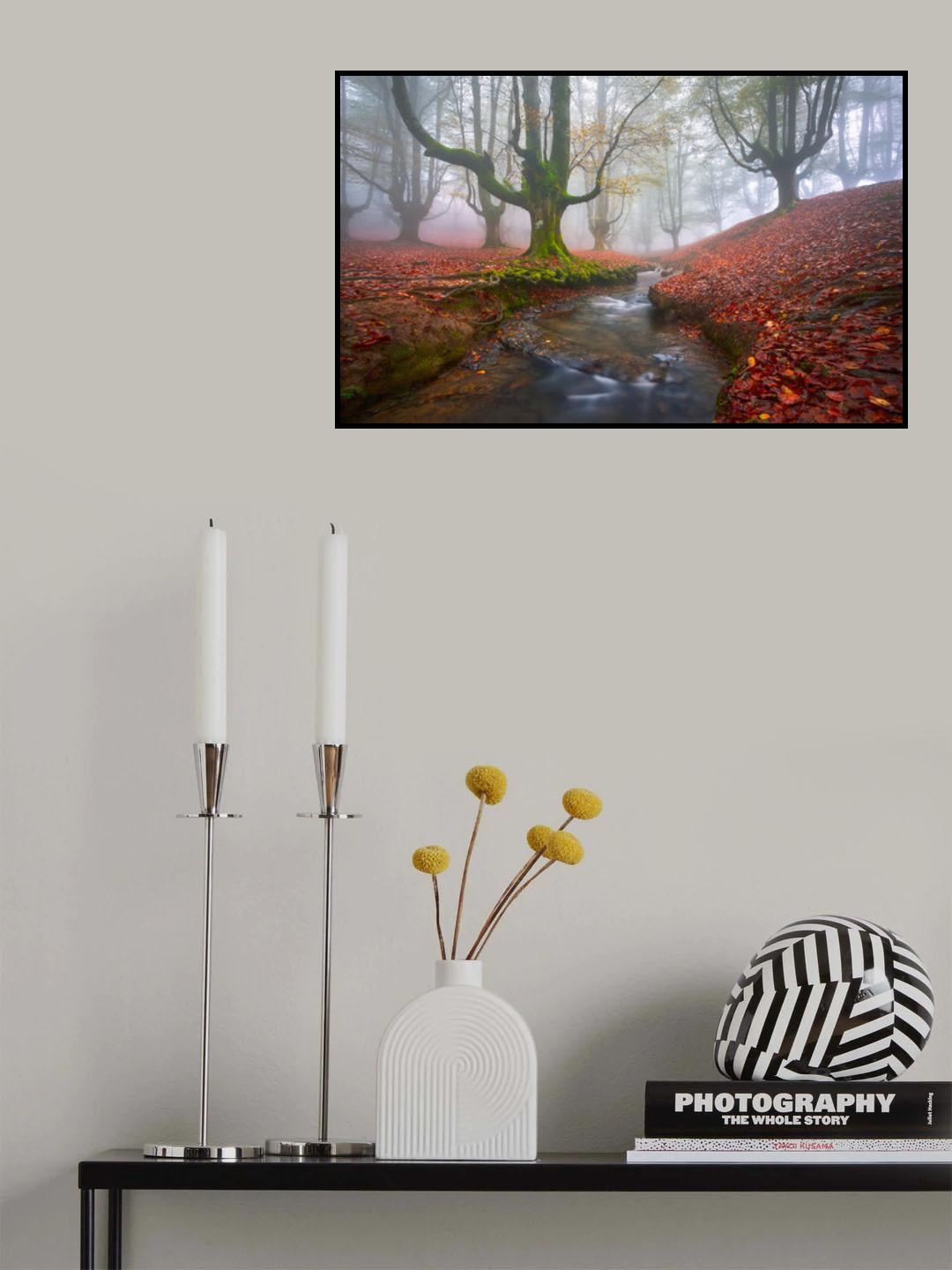 Misty Morning in Otzarreta Poster och Canvastavla