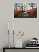 Misty Morning in Otzarreta Poster och Canvastavla