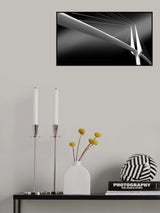 Y Bridge Poster och Canvastavla