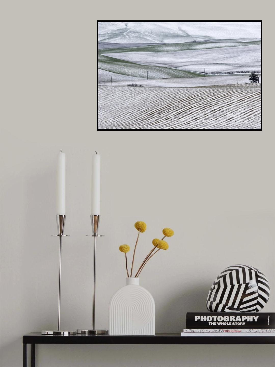 Val D'Orcia in bianco Poster och Canvastavla