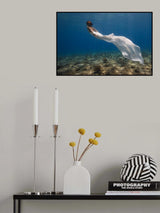 White Dress Poster och Canvastavla