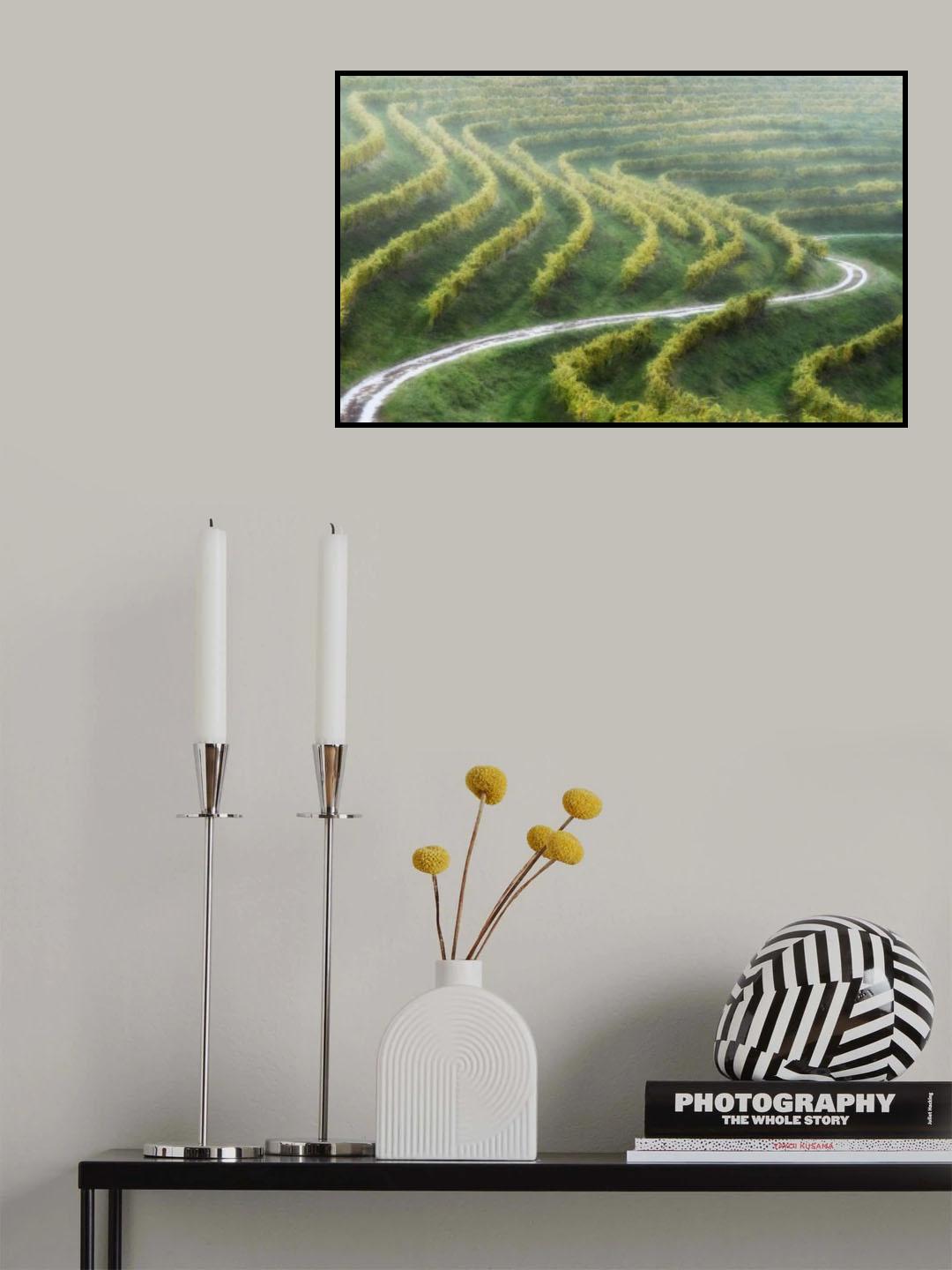curves Poster och Canvastavla