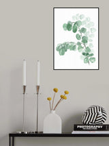 Watercolor silver dollar eucalyptus Poster och Canvastavla