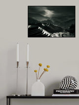 The rice fields Poster och Canvastavla