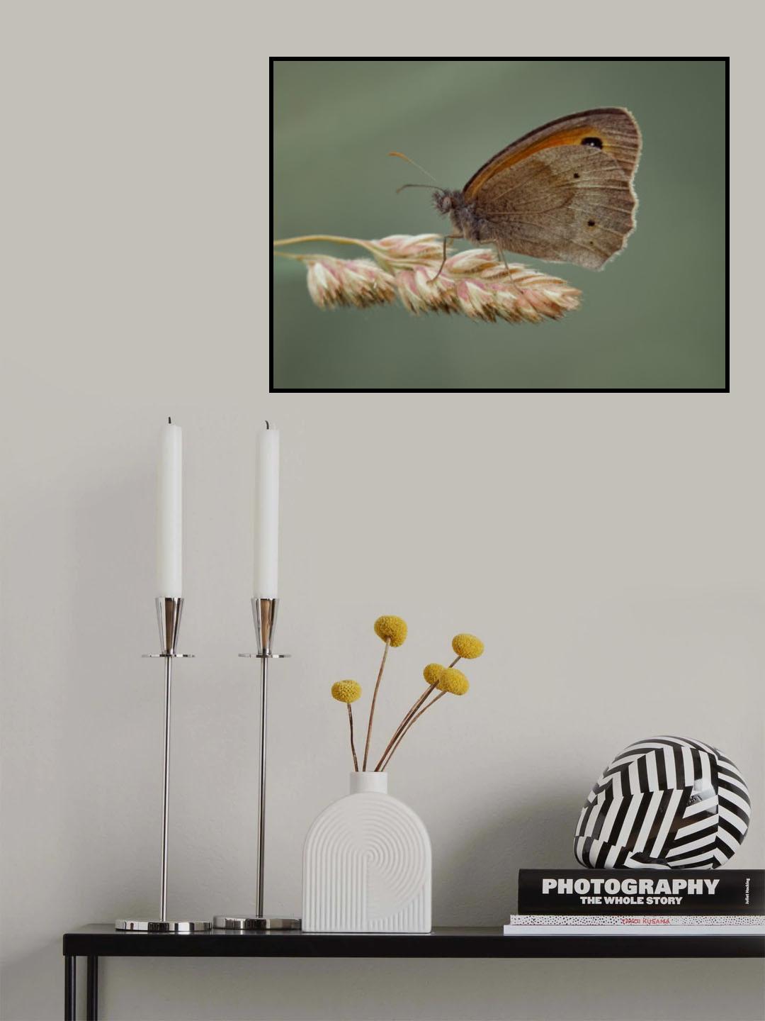 Meadow Brown. Poster och Canvastavla