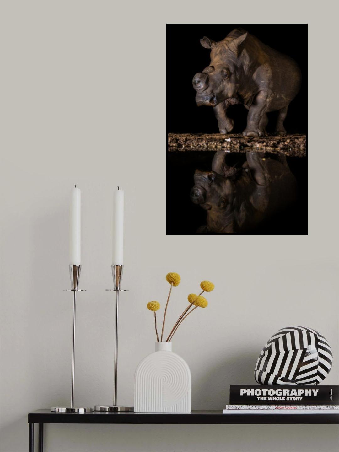 REFLEXION RHINO Poster och Canvastavla