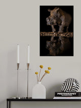 REFLEXION RHINO Poster och Canvastavla