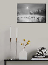 Sun Rising Over Swan Lake Poster och Canvastavla