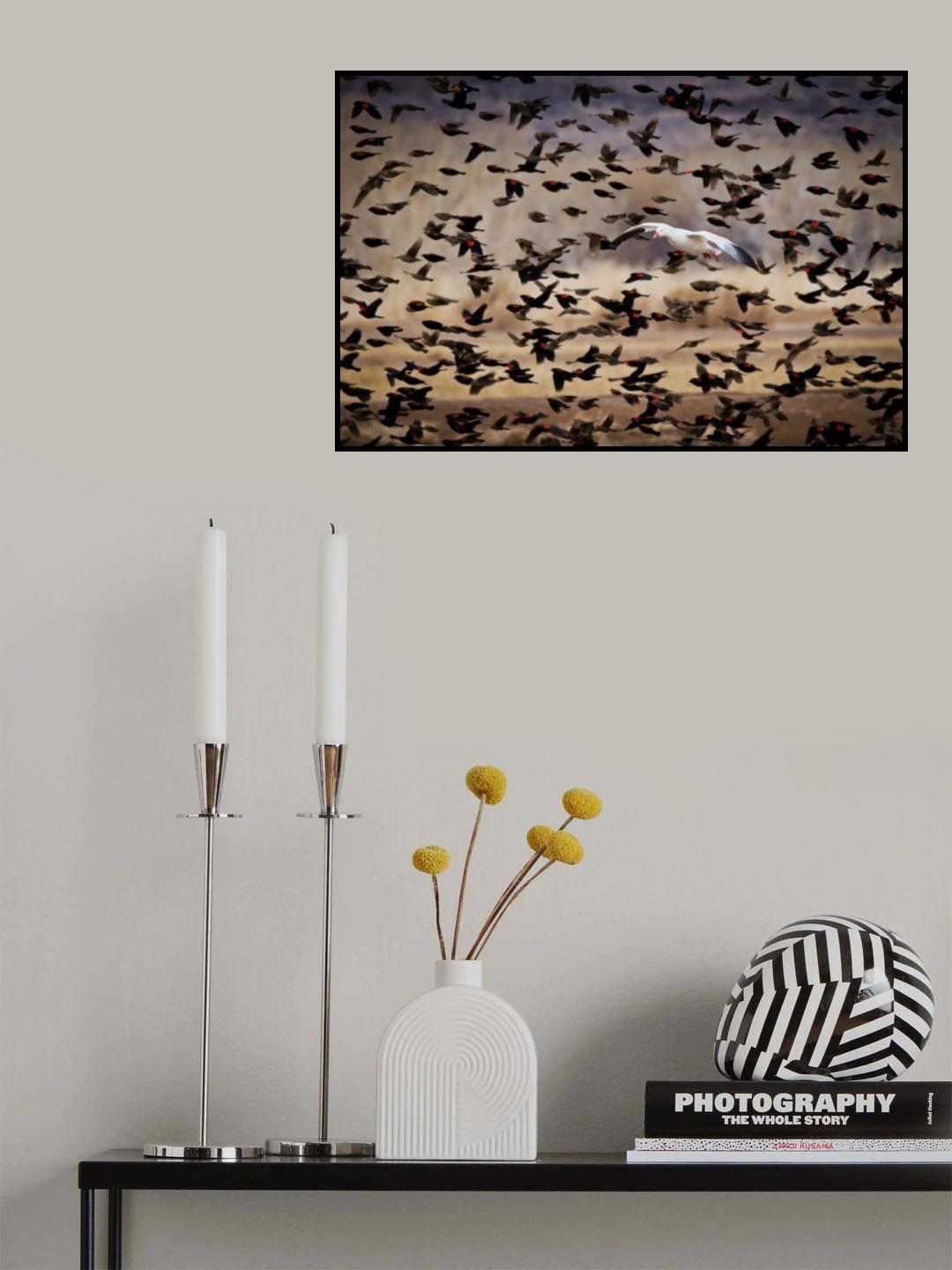 Escape Poster och Canvastavla