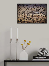 Escape Poster och Canvastavla
