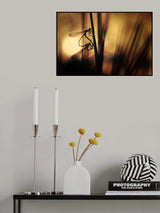 Love in The Dark Poster och Canvastavla