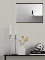"hidden" Poster och Canvastavla