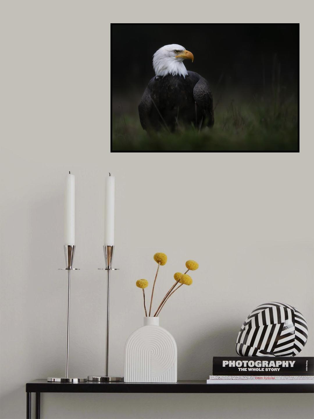 Poster och Canvastavla