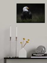Poster och Canvastavla