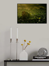 Into silence Poster och Canvastavla