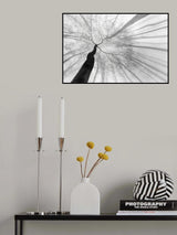After winter sleep Poster och Canvastavla