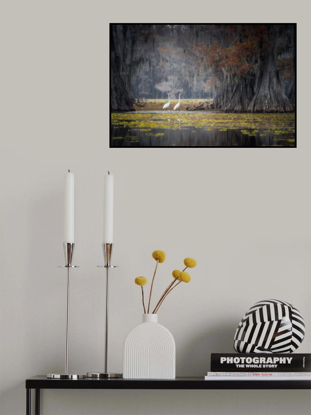 Caddo Lake Poster och Canvastavla