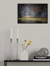 Caddo Lake Poster och Canvastavla
