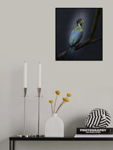 Delightful Poster och Canvastavla