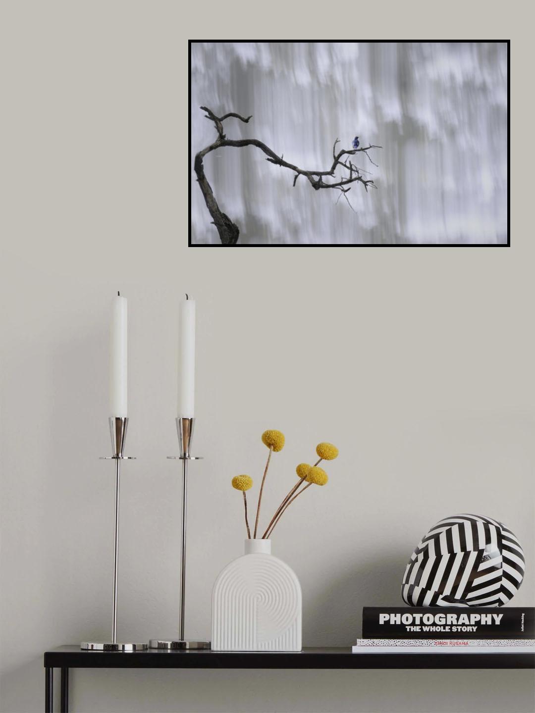 Bluebird at the waterfall Poster och Canvastavla