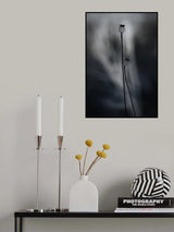 From last Year Poster och Canvastavla