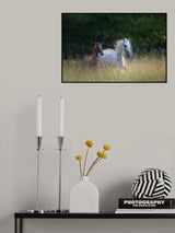Mare and fily Poster och Canvastavla