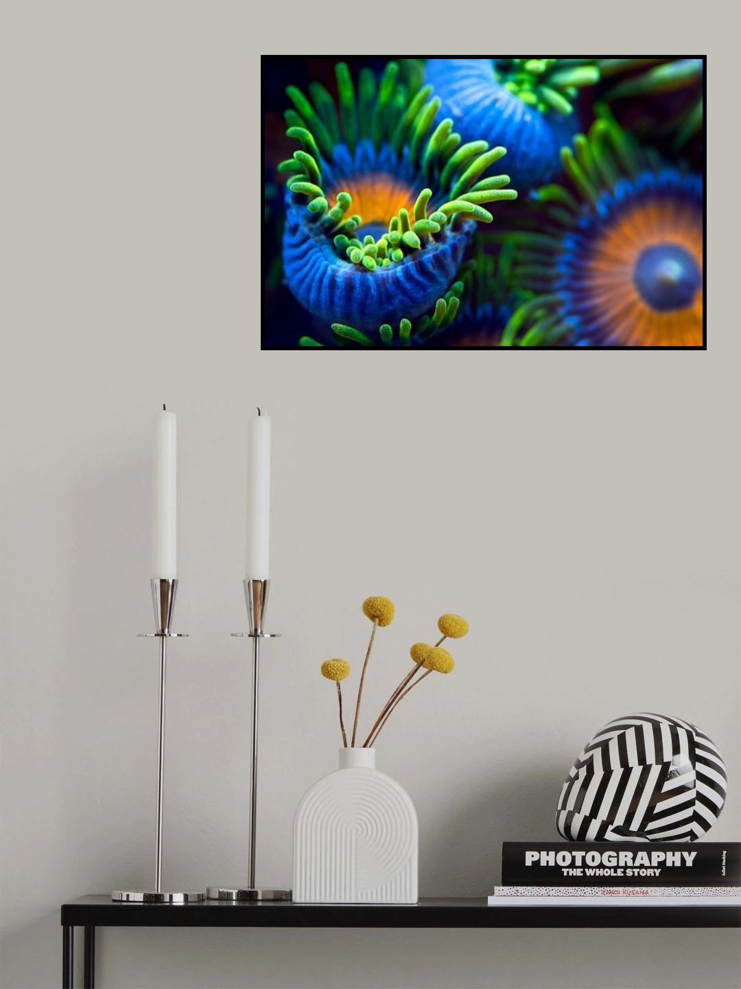 The colors of the reef II Poster och Canvastavla