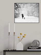 Companion Poster och Canvastavla