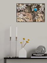 balloon Poster och Canvastavla