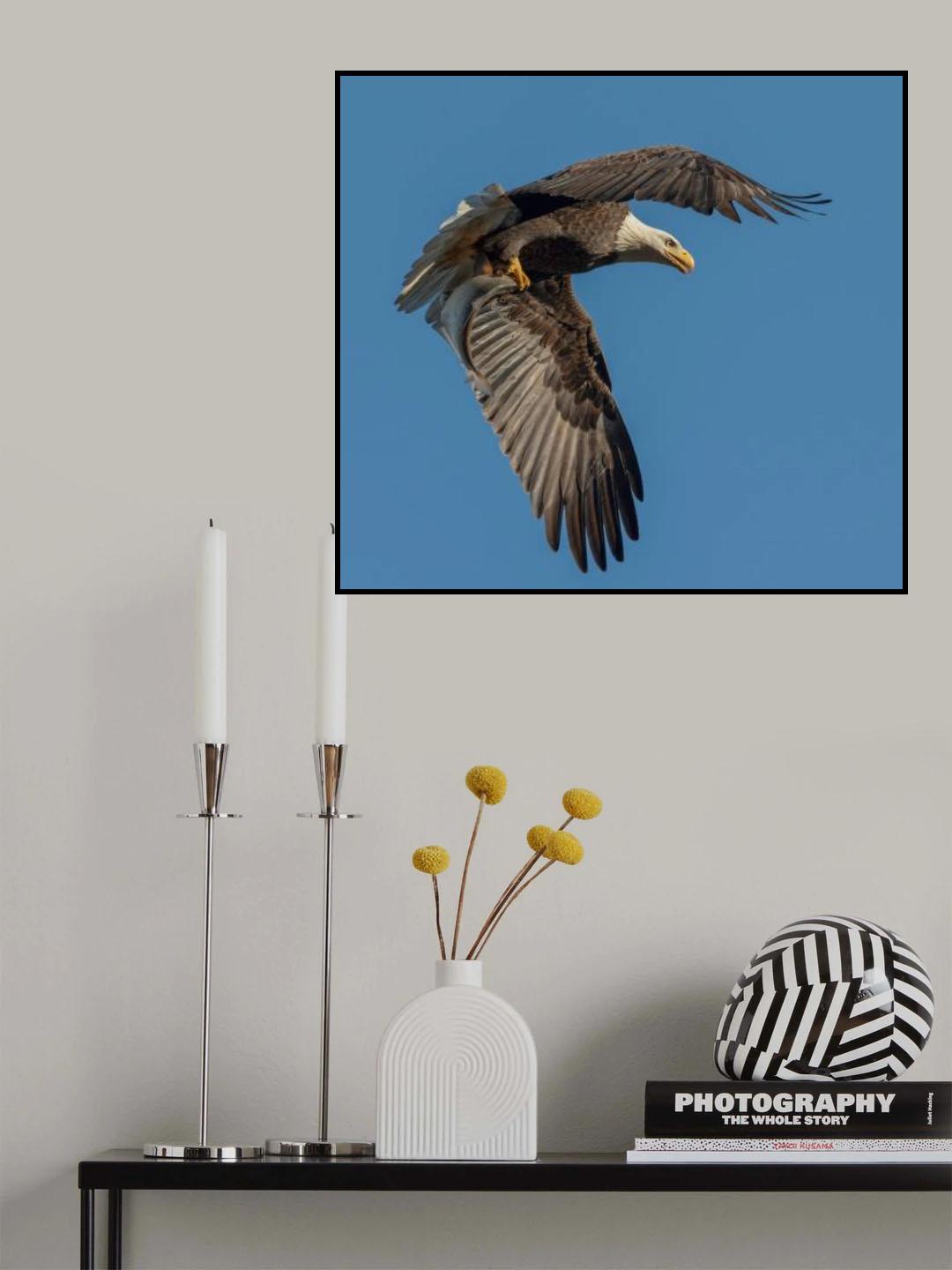 Catch of the day Poster och Canvastavla
