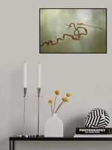 Dragonflies on Branch Poster och Canvastavla