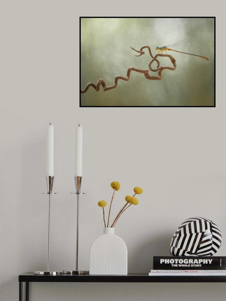 Dragonflies on Branch Poster och Canvastavla