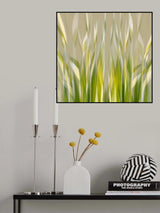 Dancing reed Poster och Canvastavla