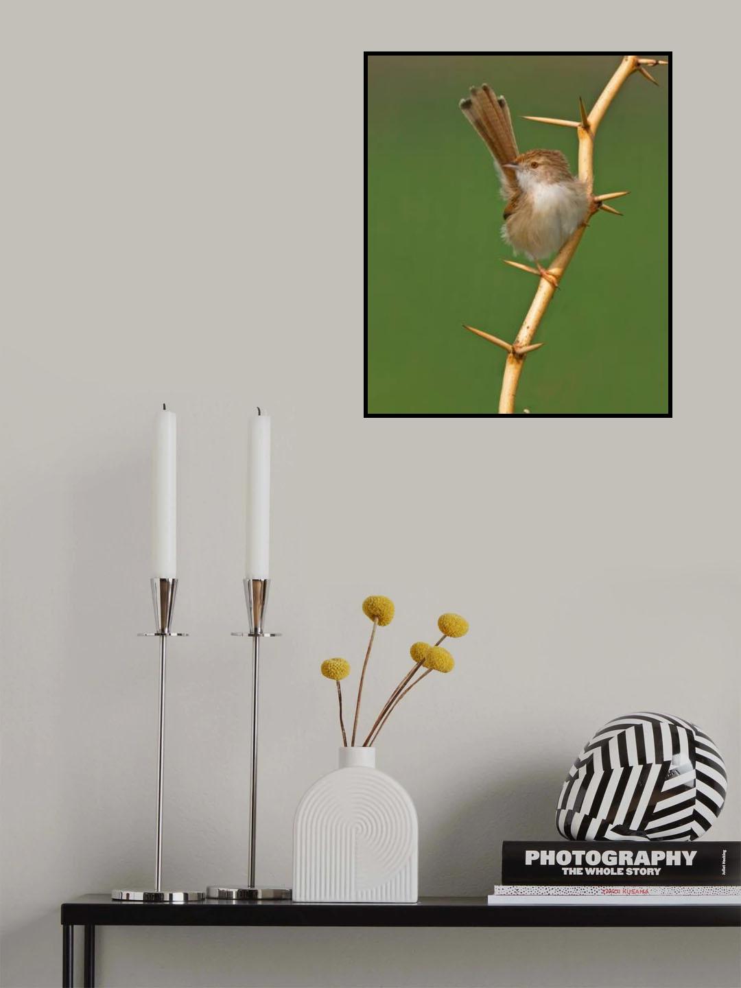 A MIGHTY TINY Poster och Canvastavla