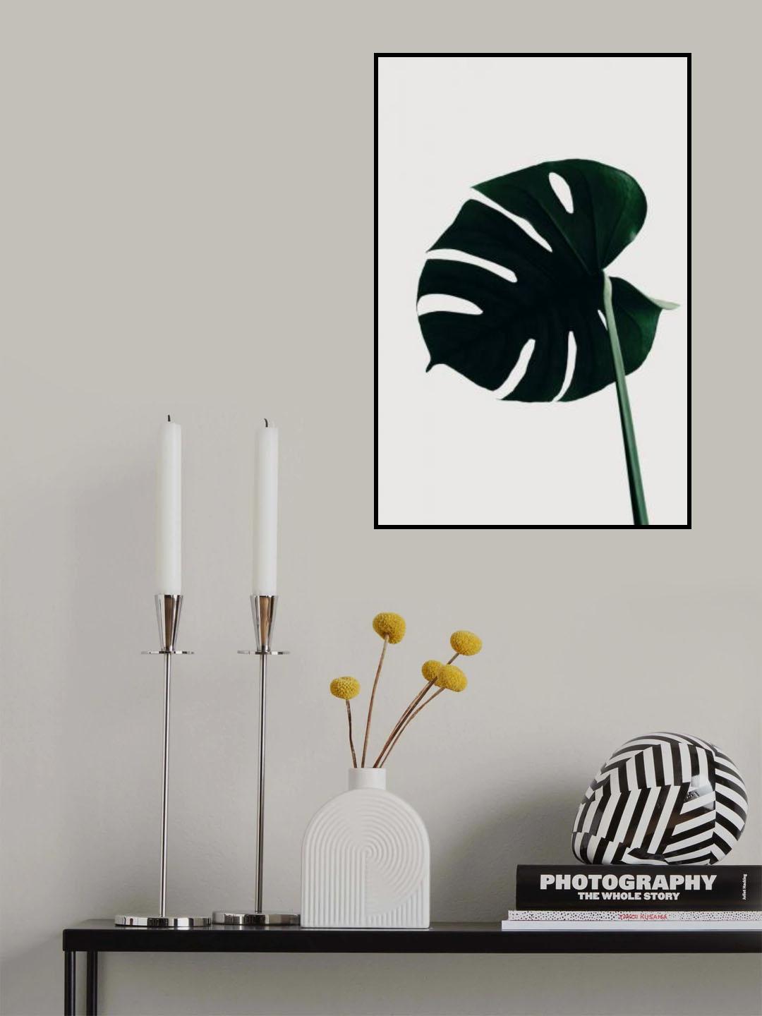 Monstera Natural 04 Poster och Canvastavla