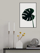 Monstera Natural 04 Poster och Canvastavla
