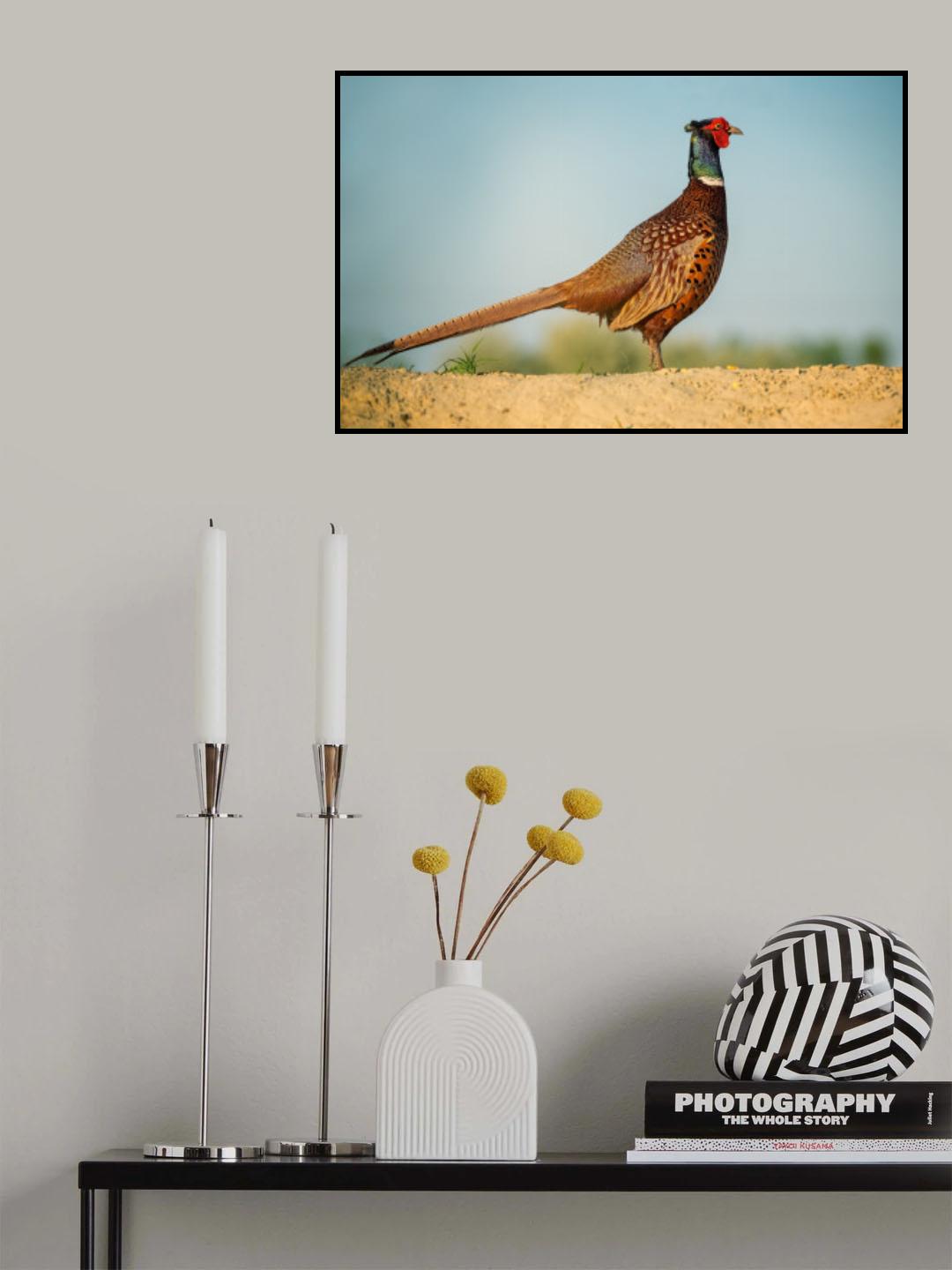 Pheasant Poster och Canvastavla