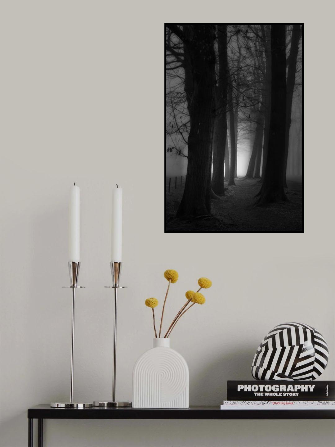 Foggy mystery forest Poster och Canvastavla